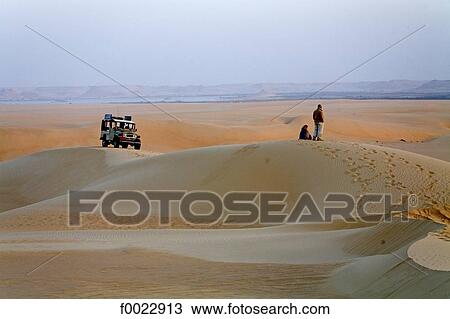 Egypt, Libyan desert, near Siwa Oasis, The great sand sea, 4x4 View Large Photo Image Stock Image - Egypt, Libyan desert, near Siwa Oasis, The great sand sea, 4x4. Fotosearch