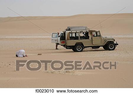 Egypt, Libyan desert, near Siwa Oasis, The great sand sea, 4x4 View Large Photo Image Stock Image - Egypt, Libyan desert, near Siwa Oasis, The great sand sea, 4x4. Fotosearch