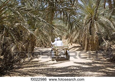 Egypt, Libyan desert, Siwa Oasis, cart View Large Photo Image Stock Photograph - Egypt, Libyan desert, Siwa Oasis, cart. Fotosearch