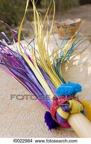 Picture - Egypt, Libyan desert, Siwa Oasis, colored broom. Fotosearch