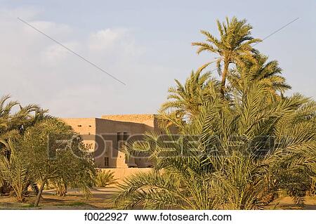 Egypt, Libyan desert, Siwa Oasis, traditional architecture hotel View Large Photo Image Stock Photo - Egypt, Libyan desert, Siwa Oasis, traditional architecture hotel. Fotosearch