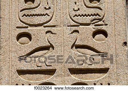 Egypt, Luxor, Luxor Temple, hieroglyphs View Large Photo Image Picture - Egypt, Luxor, Luxor Temple, hieroglyphs. Fotosearch