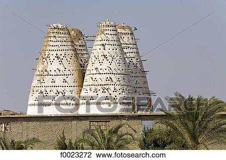 Egypt, near Alexandria, dovecots View Large Photo Image Stock Image - Egypt, near Alexandria, dovecots. Fotosearch