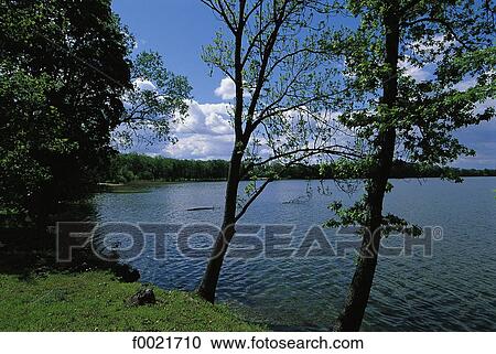 Estonia, near Palamuse, lakes View Large Photo Image Stock Image - Estonia, near Palamuse, lakes. Fotosearch