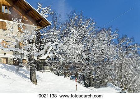 France, Alps, Combloux, chalet View Large Photo Image Stock Photo - France, Alps, Combloux, chalet. Fotosearch
