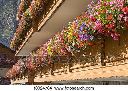 Picture - France, Alps, Valloire, flowery balcony. Fotosearch