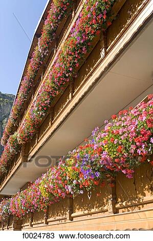 Stock Image - France, Alps, Valloire, flowery balcony. Fotosearch
