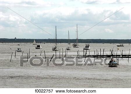Stock Photo - France, Aquitaine, Arcachon Bay, oyster-farms. Fotosearch