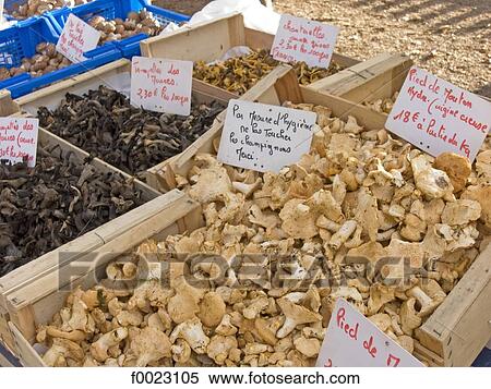 France, Poitou Charentes, La Roche-Posay, market, mushrooms View Large Photo Image Stock Photography - France, Poitou Charentes, La Roche-Posay, market, mushrooms. Fotosearch