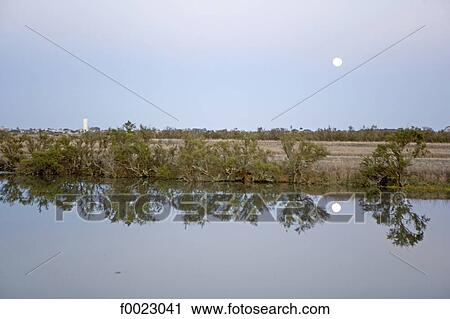France, Poitou Charentes, Re Island, salted marsh View Large Photo Image Stock Image - France, Poitou Charentes, Re Island, salted marsh. Fotosearch