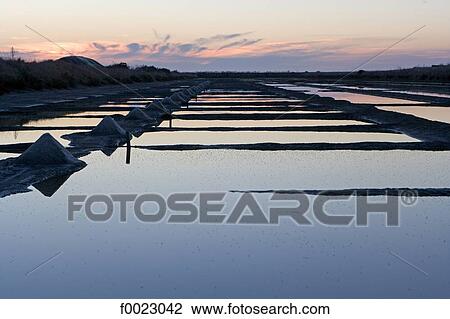 France, Poitou Charentes, Re Island, salted marsh View Large Photo Image Stock Image - France, Poitou Charentes, Re Island, salted marsh. Fotosearch