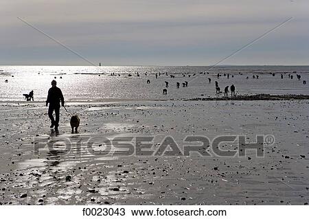 France, Poitou Charentes, Re Island, low tide fishing View Large Photo Image Stock Image - France, Poitou Charentes, Re Island, low tide fishing. Fotosearch