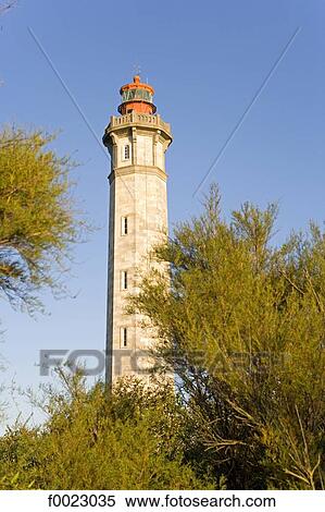 France, Poitou Charentes, Re Island, Saint-Clément-des-Baleines, Whales lighthouse View Large Photo Image Stock Photography - France, Poitou Charentes, Re Island, Saint-Clément-des-Baleines, Whales lighthouse. Fotosearch