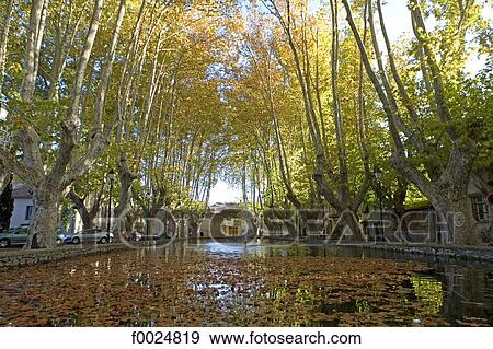 Stock Photo - France, Provence, Cucuron, plane trees lining a basin. Fotosearch