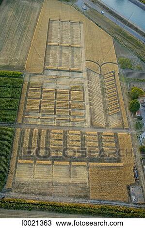 France, Provence, near Manoque, cultivated field, aerial view View Large Photo Image Stock Image - France, Provence, near Manoque, cultivated field, aerial view. Fotosearch