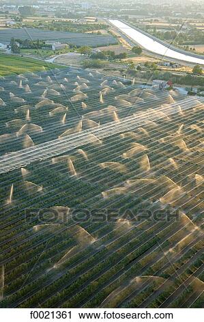 France, Provence, near Manosque, watering fields, aerial view View Large Photo Image Stock Image - France, Provence, near Manosque, watering fields, aerial view. Fotosearch