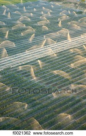 France, Provence, near Manosque, watering fields, aerial view View Large Photo Image Stock Image - France, Provence, near Manosque, watering fields, aerial view. Fotosearch