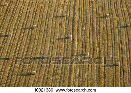 France, Provence, Valensole Plateau, wheat field after the harvest, aerial view View Large Photo Image Stock Photograph - France, Provence, Valensole Plateau, wheat field after the harvest, aerial view. Fotosearch