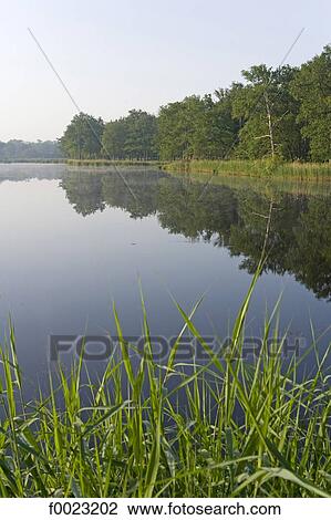 Stock Image - France, Touraine, Chambord, national hunting reserve. Fotosearch