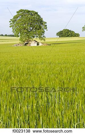 France, Touraine, country landscape View Large Photo Image Stock Photo - France, Touraine, country landscape. Fotosearch