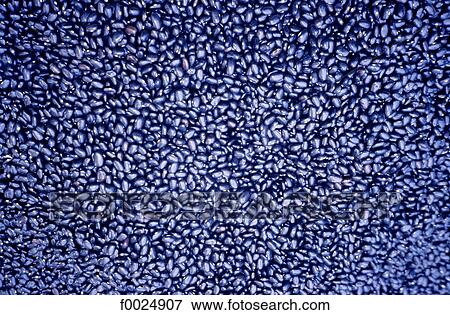 Stock Photo - Guatemala, Chichicastenango, market, black beans. Fotosearch