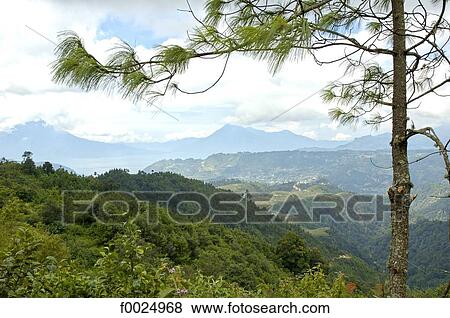 Guatemala, near the lake Atitlan, volcanoes View Large Photo Image Stock Photo - Guatemala, near the lake Atitlan, volcanoes. Fotosearch