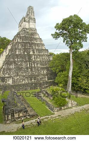Guatemala, Tikal, pyramid of the Temple of the Jaguar View Large Photo Image Stock Image - Guatemala, Tikal, pyramid of the Temple of the Jaguar. Fotosearch