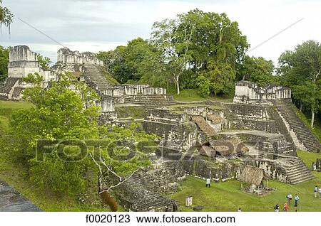 Guatemala, Tikal, pyramid of the Temple of the Jaguar View Large Photo Image Stock Image - Guatemala, Tikal, pyramid of the Temple of the Jaguar. Fotosearch