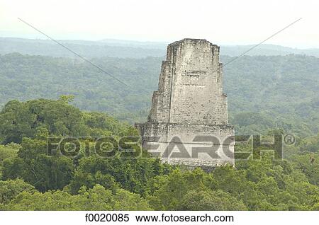 Guatemala, Tikal, pyramid of the Temple of the Jaguar View Large Photo Image Stock Photography - Guatemala, Tikal, pyramid of the Temple of the Jaguar. Fotosearch