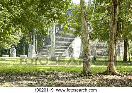 Guatemala, Tikal View Large Photo Image Stock Photo - Guatemala, Tikal. Fotosearch