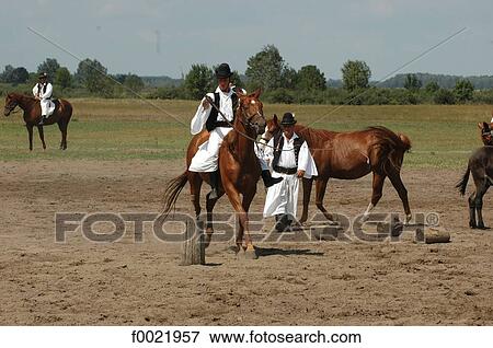 Stock Photo - Hungary, Bugac, the Puzsta, Csikos rider. Fotosearch