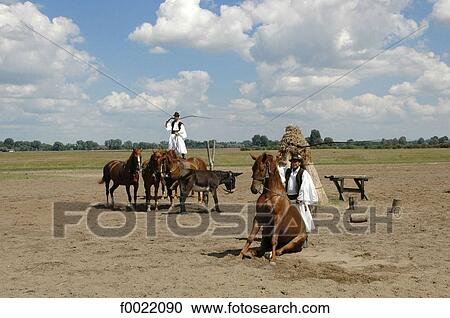 Hungary, Bugac, the Puzsta, Csikos rider equestrian show View Large Photo Image Stock Image - Hungary, Bugac, the Puzsta, Csikos rider equestrian show. Fotosearch