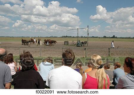 Hungary, Bugac, the Puzsta, people watching an equestrian show View Large Photo Image Stock Image - Hungary, Bugac, the Puzsta, people watching an equestrian show. Fotosearch