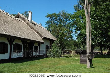 Hungary, Bugac, the Puzsta, traditional house View Large Photo Image Stock Image - Hungary, Bugac, the Puzsta, traditional house. Fotosearch