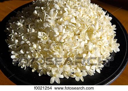 Indonesia, Bali, Jimbaran, luxury hotel Four-seasons, flowers tray View Large Photo Image Picture - Indonesia, Bali, Jimbaran, luxury hotel Four-seasons, flowers tray . Fotosearch