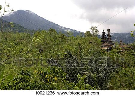 Indonesia, Bali, jungle and mountain View Large Photo Image Stock Photograph - Indonesia, Bali, jungle and mountain. Fotosearch