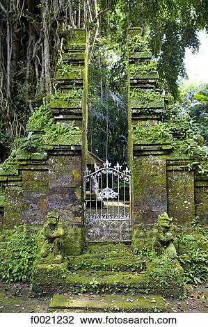 Indonesia, Bali, moss covered temple in the forest View Large Photo Image Stock Image - Indonesia, Bali, moss covered temple in the forest. Fotosearch