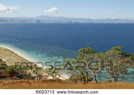 Indonesia, Flores, Lubuanbajo bay, Pulau Sebolan View Large Photo Image Stock Image - Indonesia, Flores, Lubuanbajo bay, Pulau Sebolan. Fotosearch