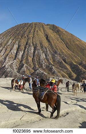 Indonesia, Java, Bromo volcano, horse riding View Large Photo Image Stock Photography - Indonesia, Java, Bromo volcano, horse riding. Fotosearch