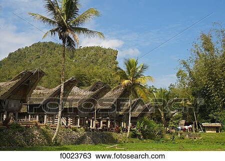 Stock Image - Indonesia, Sulawesi, Tana Toraja, Kete Kesu, Torajan houses. Fotosearch