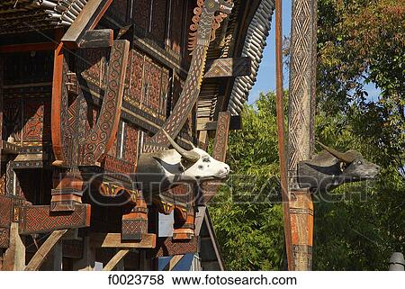 Indonesia, Sulawesi, Tana Toraja, Palawa, Torajan house View Large Photo Image Stock Photo - Indonesia, Sulawesi, Tana Toraja, Palawa, Torajan house. Fotosearch
