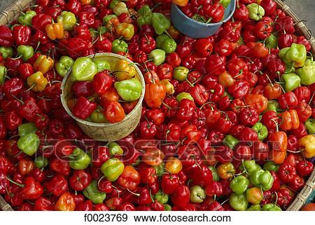 Indonesia, Sulawesi, Tana Toraja, Rantepao, market, peppers View Large Photo Image Stock Photo - Indonesia, Sulawesi, Tana Toraja, Rantepao, market, peppers. Fotosearch