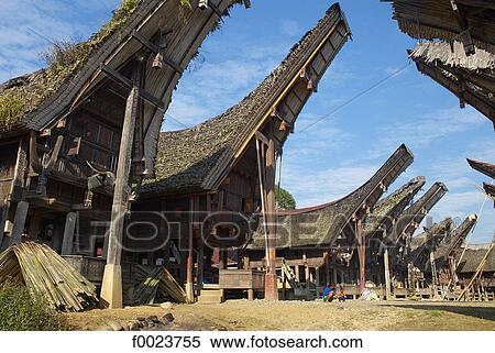 Indonesia, Sulawesi, Tana Toraja, Palawa, Torajan houses View Large Photo Image Stock Photography - Indonesia, Sulawesi, Tana Toraja, Palawa, Torajan houses. Fotosearch