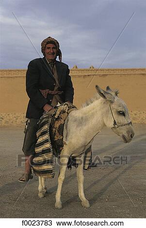 Iran, Yazd, Iranian on his mule View Large Photo Image Stock Image - Iran, Yazd, Iranian on his mule. Fotosearch