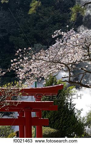 Stock Image - Japan, island of Kyushu, Beppu, hot springs, torii. Fotosearch