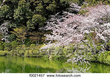 Japan, island of Kyushu, Beppu, Lake View Large Photo Image Stock Photo - Japan, island of Kyushu, Beppu, Lake. Fotosearch