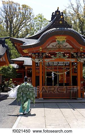 Stock Image - Japan, island of Kyushu, Ibusuki, ancient shinto shrine of Hirakiki. Fotosearch