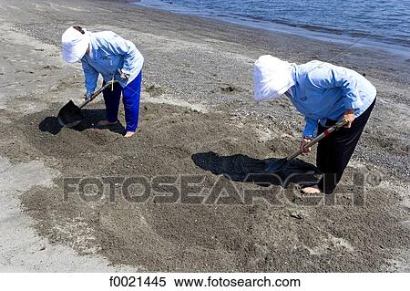 Stock Photography - Japan, island of Kyushu, Ibusuki, beach, hot sand baths. Fotosearch