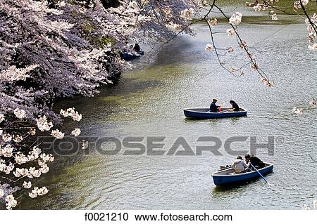 Japan, Tokyo, Chiyoda-Ku quarter, Kitanomaru Park, boat on the lake View Large Photo Image Stock Image - Japan, Tokyo, Chiyoda-Ku quarter, Kitanomaru Park, boat on the lake . Fotosearch