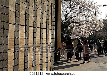 Stock Image - Japan, Tokyo, Chiyoda-Ku quarter, Kitanomaru Park. Fotosearch